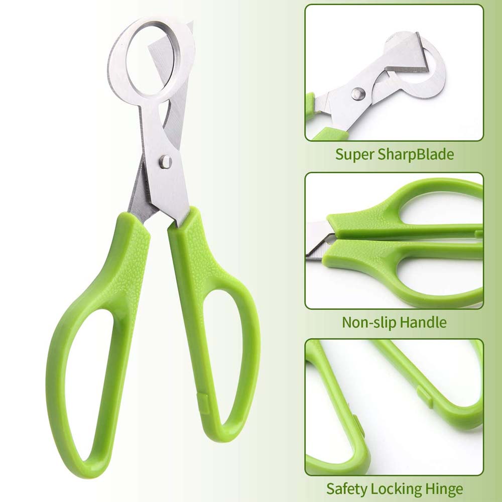 3Pcs Quail Egg Cutter Scissors - огляд і ціна Kitchen Shears In Baking