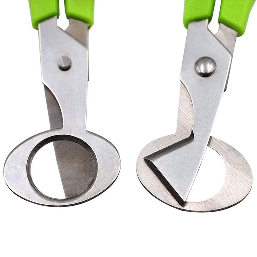 3Pcs Quail Egg Cutter Scissors - огляд і ціна Kitchen Shears In Baking